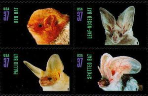 American Bats