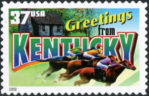 Greetings from Kentucky, Horse (Equus ferus caballus)