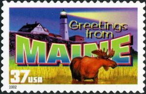 Greetings from Maine, Moose (Alces alces)