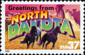 Mustangs (Equus ferus caballus) - North Dakota