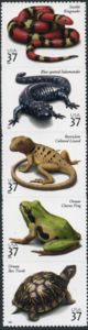 Reptiles & Amphibians