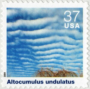 Altocumulus Undulatus
