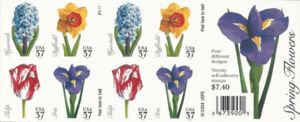 Spring Flowers