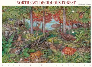 Northeast Deciduous Forest