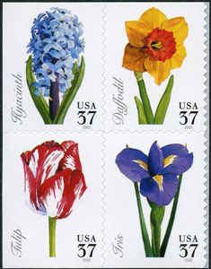 Spring Flowers