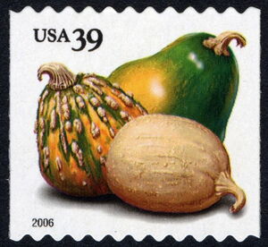 Squashes (PSA coil)