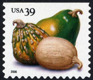 Squashes (PSA CB)