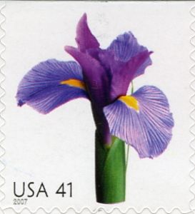 Iris