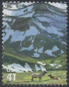 Wapiti (Cervus canadensis)