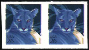 Florida Panther (Puma concolor coryi)