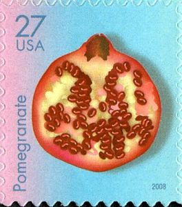 Pomegranate (punica granatum)