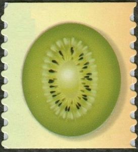 Tropical Fruits - Kiwi
