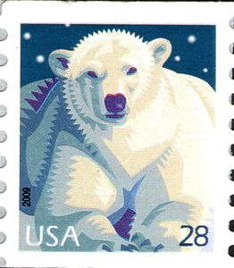 Polar Bear (Ursus maritimus)