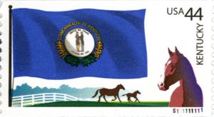 Kentucky, Horse (Equus ferus caballus)