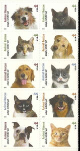 Cats (Felis silvestris catus), Dogs (Canis lupus familiaris)