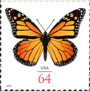 Monarch (Danaus plexippus)