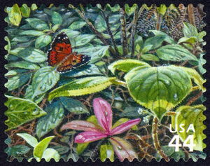Pulelehua Butterfly (Vanessa tameamea), Kolea Lau Nui (Myrsi