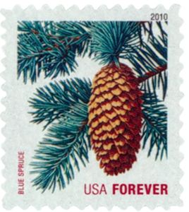 Blue Spruce (ATM bklt)