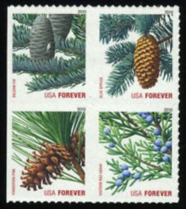 Holiday Evergreens (ATM bklt)