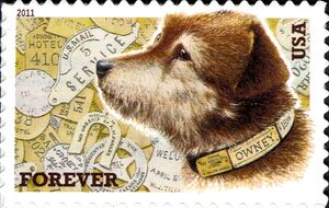Dog (Canis lupus familiaris)
