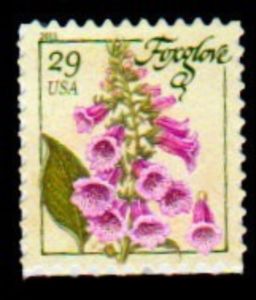 Foxglove (from pane)