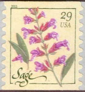 Sage (coil)
