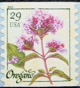 Oregano (coil)