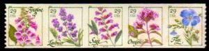 Herbs - coil strip of 5
