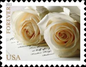 Wedding Roses