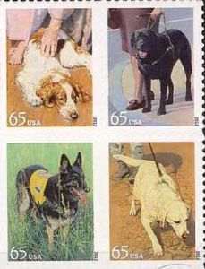 Dogs at Work (Canis lupus familiaris)