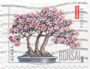 Azalea