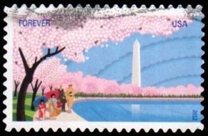 Cherry Blossoms & Washington Monument