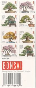 Bonsai