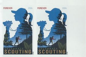 Celebrate Scouting