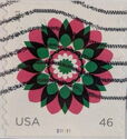 Kaleidoscope:Red violet outer leaves