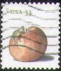 Apples: Northern Spy