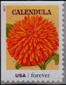 Seed Packets: Calendula