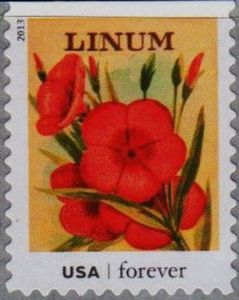 Seed Packets: Linum