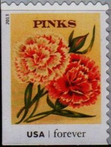 Seed Packets: Pinks