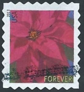 Poinsettia Plant - Small
