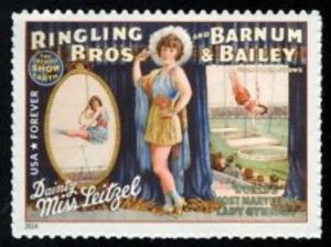 Ringling Bros and Barnum & Bailey Circus