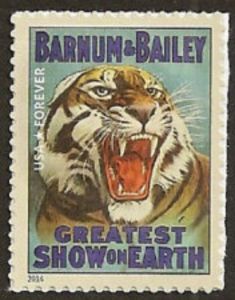 Barnum & Bailey - Tiger (Panthera tigris)