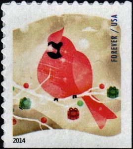 Northern Cardinal (Cardinalis cardinalis)