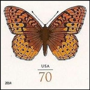 Great Spangled Fritillary (Speyeria cybele)