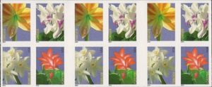 Winter Flowers
