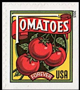 Harvest: Tomatoes