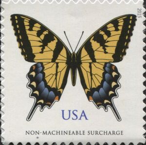 Eastern Tiger Swallowtail (Papilio glaucus)
