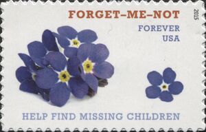 Forget-Me-Not - Help Find Missing Children