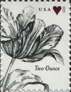 Vintage Tulip (two ounce)