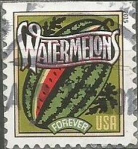 Harvest: Watermelons